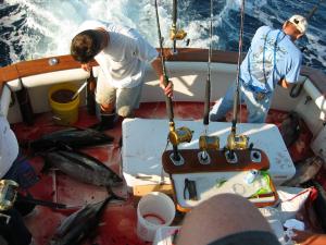 Forked River Tuna Tournament Longfins in Hudson  Canyon